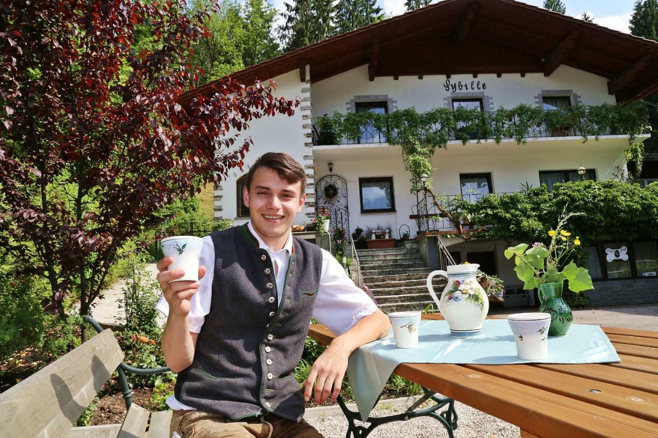 Pension Sybille Ebensee Dış mekan fotoğraf